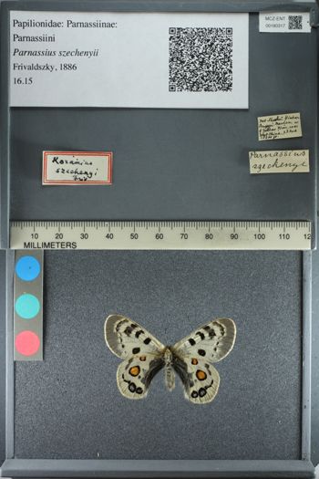 Media type: image;   Entomology 180317